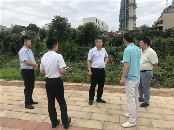 7月6日。黃勁松深入板塘片區(qū)重點(diǎn)項(xiàng)目調(diào)研.jpg